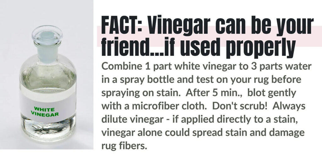 FACT: Vinegar can be your friend...if used properly. Combine 1 part white vinegar to 3 parts water in a spray bottle and test on your rug before spraying on a stain. After 5 min., blot gently with a microfiber cloth. Don\